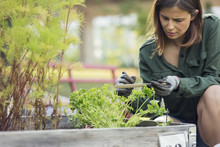 Mid Adult Woman Writing Label For Plant In Urban Garden