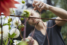 Male Gardener Tying String To Support Flowers In Yard