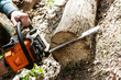 © fotogray71 - Man sawing wood log with a chainsaw.