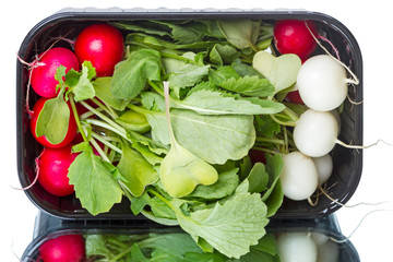 Wall Mural - Red and white radish in a container