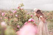 Cute Baby Girl 3-4 Year Old Smelling Roses In Field. Spring Time. Childhood.