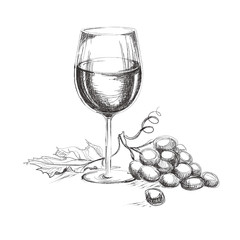 Glass of wine with grape. Hand drawn wine concept