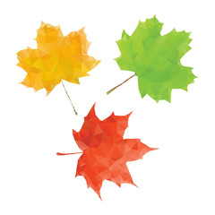 Wall Mural - Maple leaf set. Green red and yellow low poly leaf