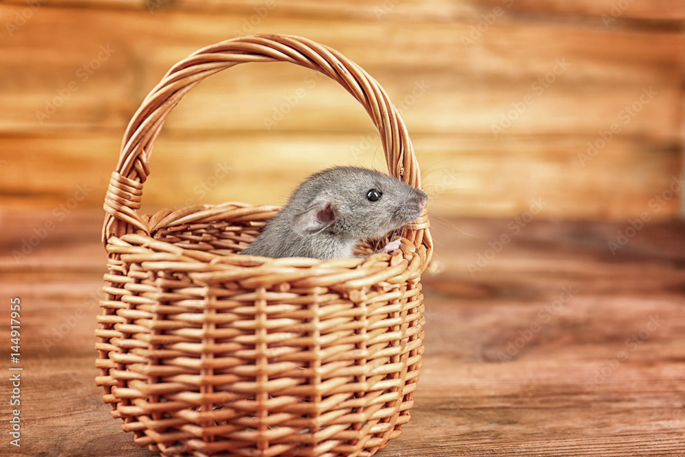 Cute funny rat in wicker basket on wooden background