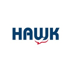 Canvas Print - hawk logo vector.