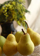 pears yellow close up photo with vase and mimose
