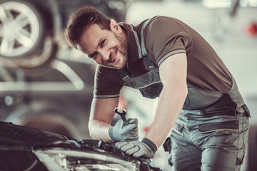 Handsome auto service worker