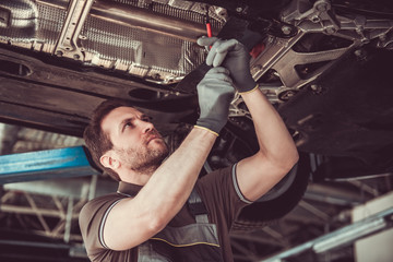 Wall Mural - Handsome auto service worker