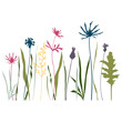 Vector illustration of wild meadow flowers, herbs and grasses.Thin delicate line silhouettes of different plants - cornflowers, thistles and grass in pastel colors. Isolated on white background