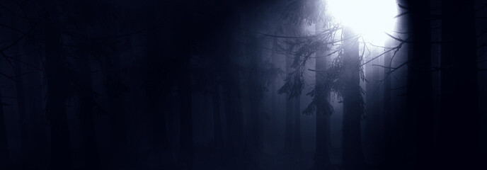 Wall Mural - night forest halloween background