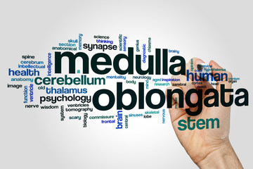 Sticker - Medulla oblongata word cloud