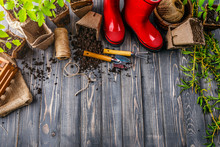 Gardening Tools With Soil Red Boots And Seedlings Tomato
