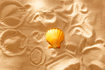 Wall Mural - Sea shell and prints on sand