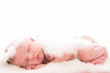 © franphotographie - Infant baby with angel wings on neutral background