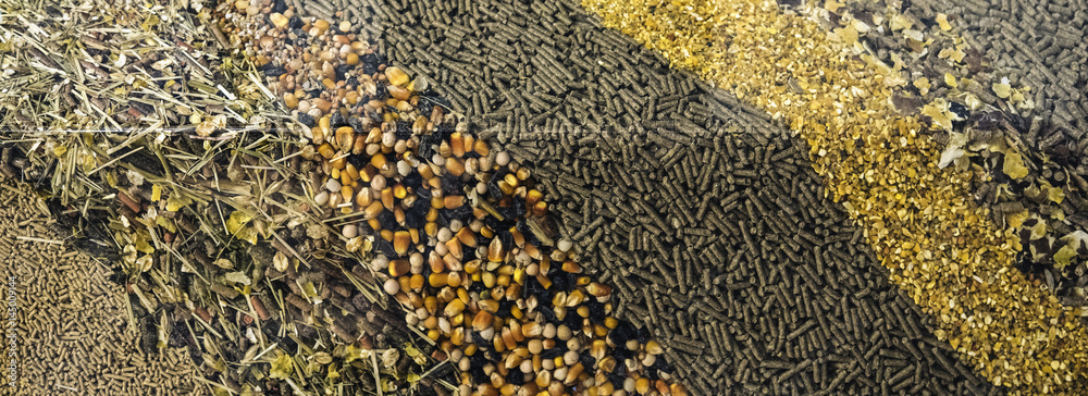 Different types of animal feed for background. Stock Photo | Adobe Stock
