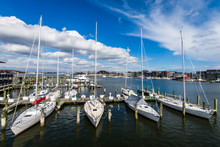 Harbor Area Of Annapolis, Maryland On A Cloudy Spring Day With Sail Boats
