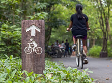 Signpost Biking Trails With Arrow Driving Direction Of The Road. Woman Riding A Bike In The Park. Cyclist On A Trip In The Countryside.
