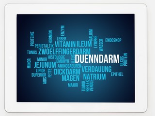 Canvas Print - Dünndarm