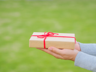 Wall Mural - Hands holding beautiful gift box, female giving gift, Christmas holidays and greeting season concept, shallow dof