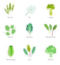 Healthy Ingredients For Vegetable Salad.