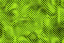 Abstract Green Snake Skin Background