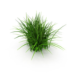 Wall Mural - Grass isolated on white. 3D illustration