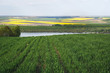 Beautiful spring landscape with river and  field in Vojvodina,Serbia