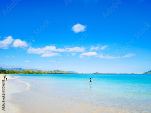 ハワイ アドビストックのデザイン かべいろ Com おしゃれ壁紙リフォーム貼り替え インクジェット壁紙のかべいろ Com