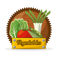 Wall Mural - vegetables food ingredient banner vector illustration eps 10