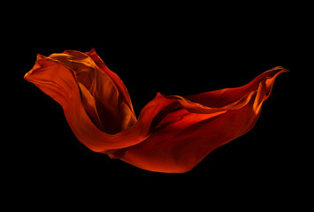 Wall Mural - Smooth elegant red cloth on black background