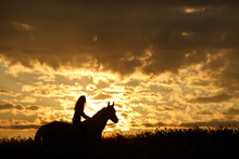 Woman Riding On Horse In Sunset