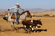 © Shelley Paulson - Cowboy on horse roping cattle