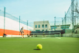 Fototapeta Nowy Jork - The tennis ball on a tennis court