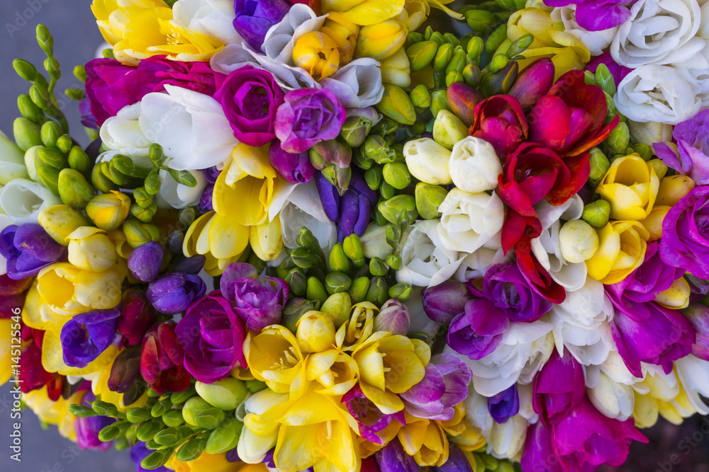 colorful bouquet of freesia photographed from above - obrazy, fototapety, plakaty 