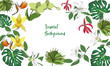 Exotic collection of hand drawn tropic leaves and flowers. Tropical background.