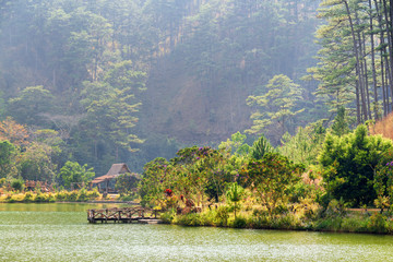 Wall Mural - Amazing forest lake among green pine woods. Summer landscape