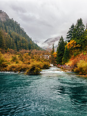 Wall Mural - Amazing view of the Sparkling Lake, Jiuzhaigou nature reserve