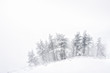 © mimadeo - winter landscape with snowy trees and blizzard