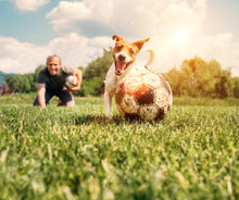 Man Play With Dog On The Green Meadow
