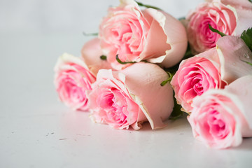 Pink rose at white stone table.