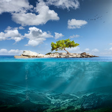 Idyllic Small Island With Lone Tree In The Ocean