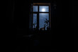© zef art - Night scene of moon seen through the window from dark room