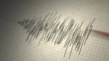 Earthquake Seismograph Loop - Animated Seismograph Records Earthquake Tremors. Seamlessly Loopable.
