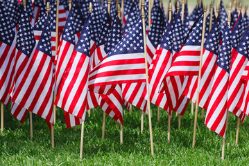 groups of USA flags on the meadow