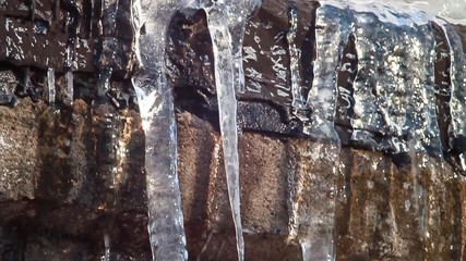 Wall Mural - Melting Icicles