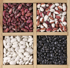 Canvas Print - Various beans in box