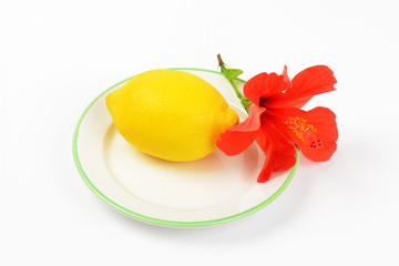 Canvas Print - ripe lemon with red hibiscus bloom