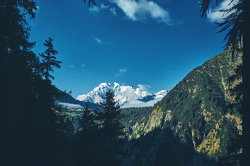 Wall Mural - Snow capped mountains under deep blue sky. View from the valley through the forest and trees