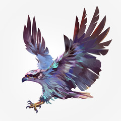 Isolated painted flying bird hawk