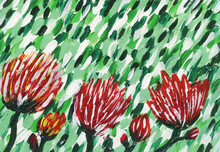 Red Flowers On A Green Background